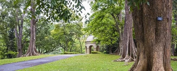 Kandy Royal Botanical Gardens, Peradeniya, Kandy, Sri Lanka, Asia