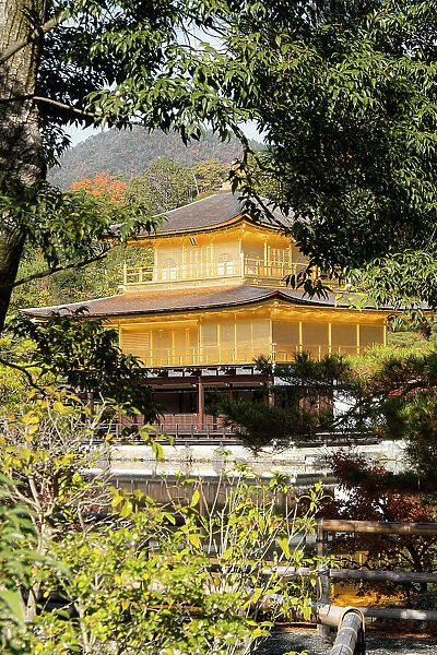 Kinkaku-ji Golden Pavilion Temple framed by trees, UNESCO World Heritage Site, Kyoto, Honshu, Japan, Asia