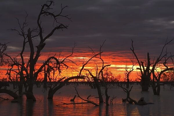 Lake Pamamaroo, Menindee, New South Wales, Australia, Pacific