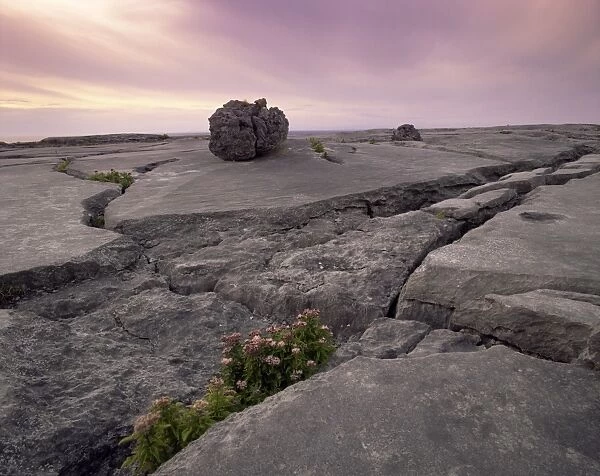 Limestone rocks near the sea, at sunset, The Burren, County Clare, Munster