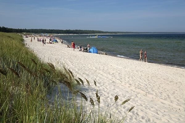 Lyckesand beach backed by sand dunes, Boda, Northern Oland, Oland, Baltic coast, Southeast Sweden