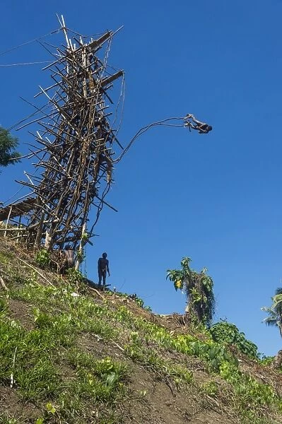 Man jumping from a bamboo tower, Pentecost land diving, Pentecost, Vanuatu, Pacific