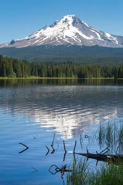 Mount Hood, part of the Cascade Range, perfectly reflected in the still waters of Trillium Lake