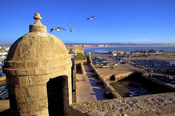 North Bastion view over Essaouira, Morocco, North Africa, Africa
