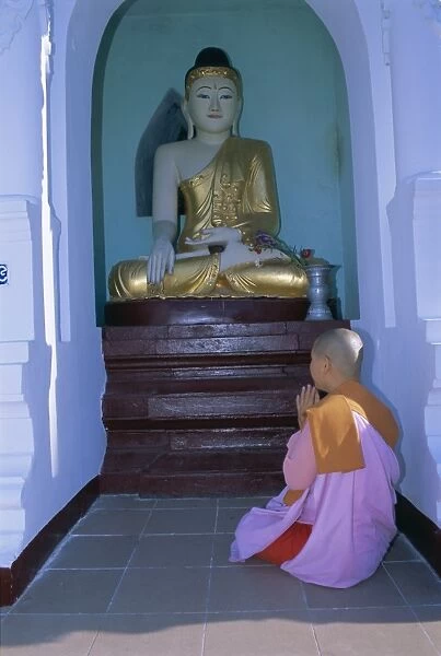Nun and statue of the Buddha, Shwedagon Paya (Shwe Dagon pagoda), Yangon (Rangoon)