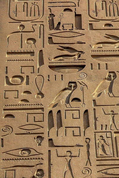 Detail of the Obelisk at Luxor Temple, Luxor, Thebes, UNESCO World Heritage Site, Egypt, North Africa, Africa