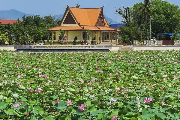 Ornamental lake covered with lily pads by temple pavilion at this quiet former French