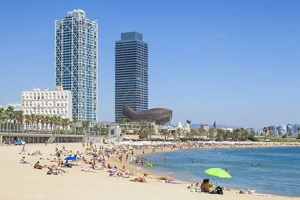People sunbathing on Barcelona beach, Barceloneta, Barcelona, Catalonia (Catalunya)
