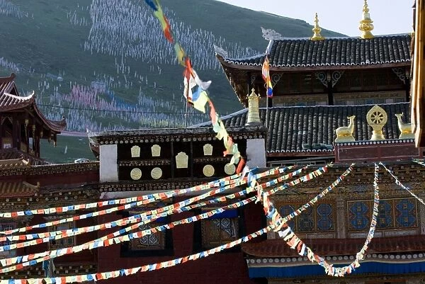 Prayer flags, Tagong Buddhist Temple, Tagong, Sichuan, China, Asia