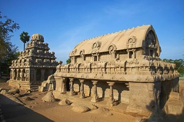 Five Ratha, Mamallapuram (Mahabalipuram), UNESCO World Heritage Site, Tamil Nadu, India, Asia