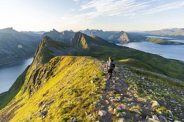 Rear view of man walking on path to Husfjellet mountain peak at sunrise, Senja island