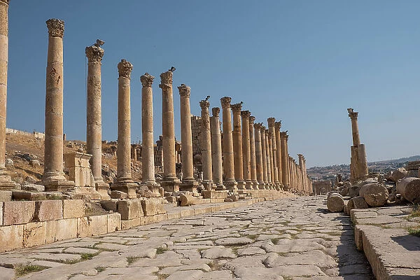 The Roman ruins with a long colonnade road, Jerash, Jordan, Middle East