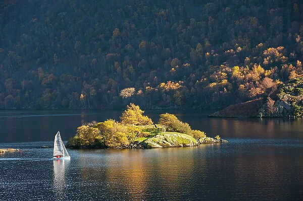 Sailing dinghy passes Norfolk Island, Lake Ullswater, Lake District National Park, Cumbria, England, United Kingdom, Europe