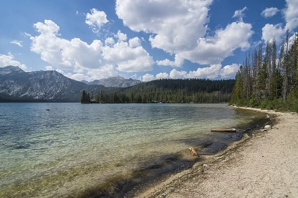 Sandy beach on Pettit Lake in a valley north of Sun Valley, Sawtooth National Forest, Idaho, United States of America, North America