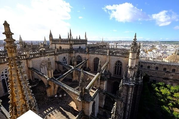 Seville Cathedral seen from Giralda bell tower, UNESCO World Heritage Site, Seville