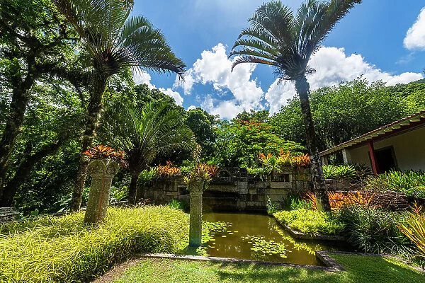Sitio Roberto Burle Marx site, a landscape garden, UNESCO World Heritage Site, Rio de Janeiro, Brazil, South America