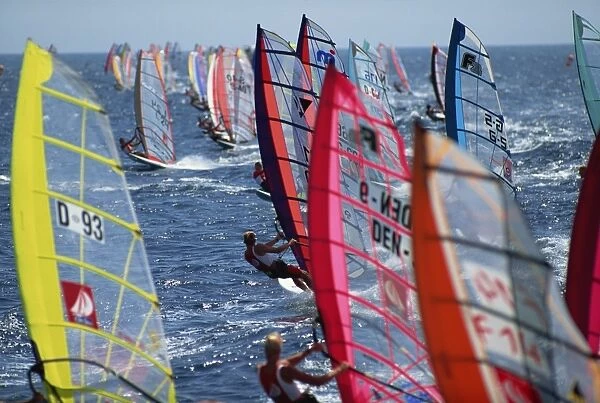 Startline at the World Championships, Red Sea, Egypt, North Africa, Africa