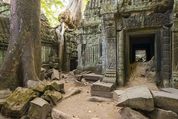 Ta Prohm temple (Rajavihara), Angkor, UNESCO World Heritage Site, Siem Reap Province