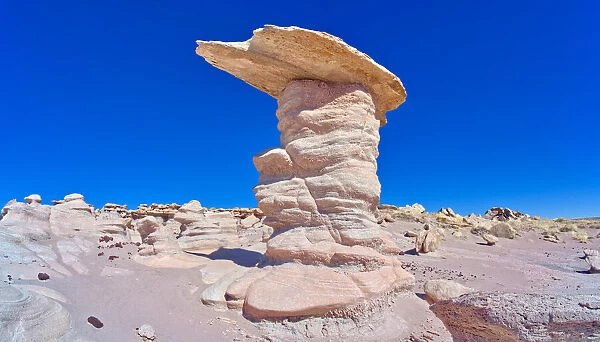 A tall hoodoo called the Leviathan in Devils Playground, Petrified Forest National Park, Arizona, United States of America, North America