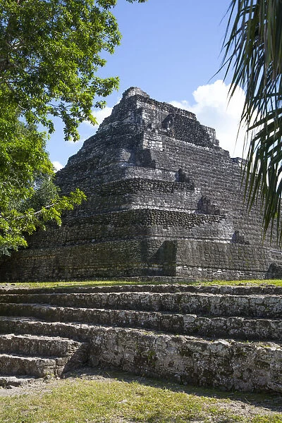 Temple 24, Mayan Site, Chacchoben Archaeological Zone, Chacchoben, Quintana Roo State, Mexico, North America