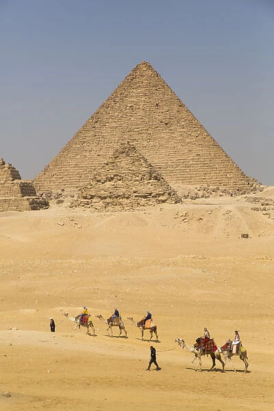 Tourists riding camels, Great Pyramids of Giza, UNESCO World Heritage Site, Giza, Egypt