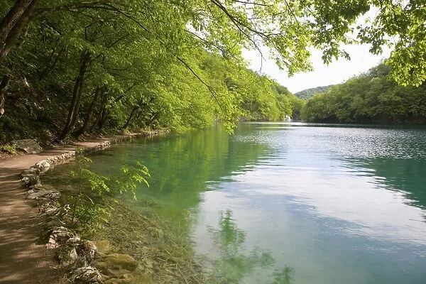 The turquoise waters of Milanovac Lake, Plitvice Lakes National Park (Plitvicka Jezera)