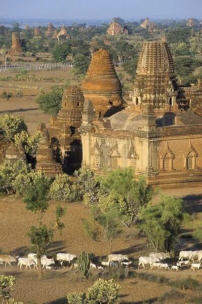View from the Gayokpyemin Pagoda, Bagan (Pagan), Myanmar (Burma), Asia