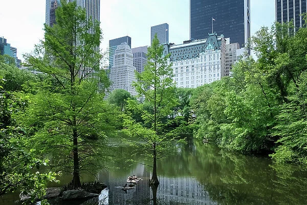 View of Manhattan cityscape as seen from The Pond, one of seven bodies of water in Central Park located near Grand Army Plaza, across Central Park South from the Plaza Hotel, New York City, United States of America, North America