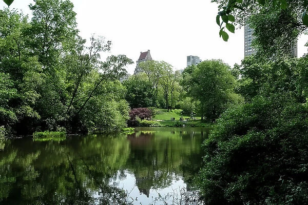 View of The Pond, one of seven bodies of water in Central Park located near Grand Army Plaza, across Central Park South from the Plaza Hotel, New York City, United States of America, North America