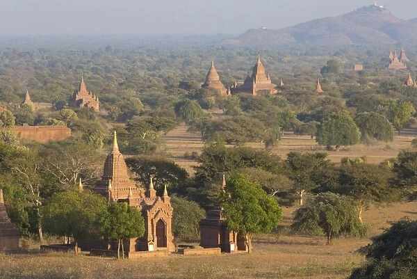 View over the temples of Bagan bathed in evening sunlight, from Shwesandaw Paya, Bagan, Myanmar (Burma), Southeast Asia