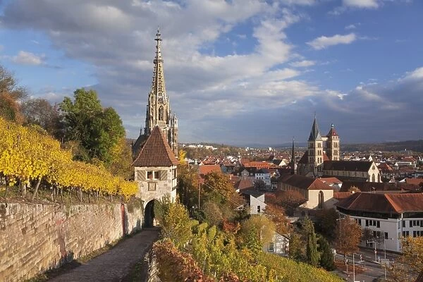 View from vineyards to Esslingen with St. Dionys church and Frauenkirche church, Esslingen