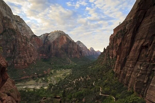 View down Zion Canyon from trail to Angels Landing at dawn, Zion National Park, Utah, United States of America, North America