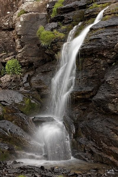 Waterfall, San Juan National Forest, Colorado, United States of America, North America