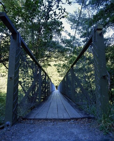 Wooden bridge in the Peloris Reserve