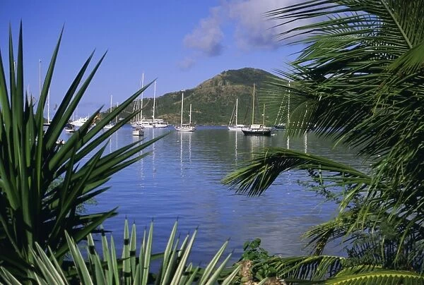 Yachts seen through palms, Falmouth Harbour, Antigua, Caribbean, West Indies
