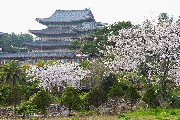 Yakcheonsa Buddhist temple, Seogwipo City, Jeju Island, South Korea, Asia