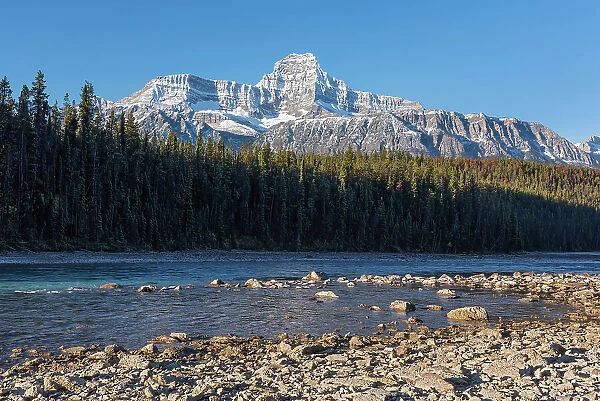 Athabasca River and the Canadian Rocky Mountains along the Icefields Parkway, Jasper National Park, Alberta, Canada