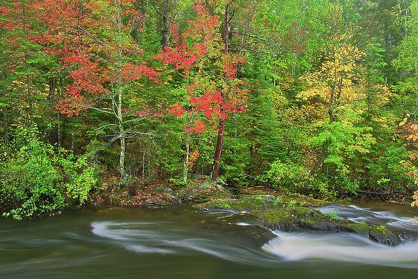 Berry Creek in autumn Near Sioux Narrows, Ontario, Canada