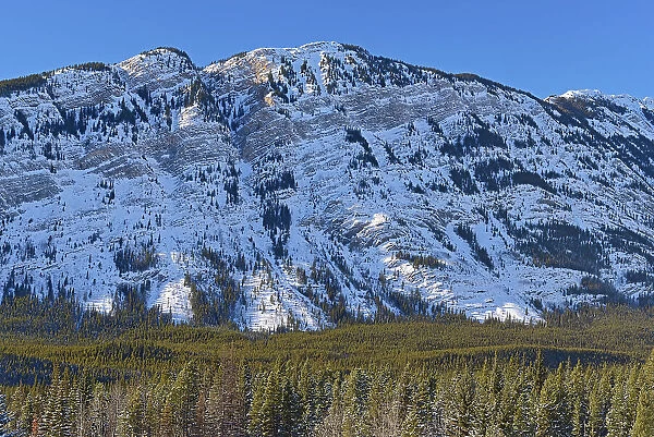 Canadian Rockies in winter, Kanaskis Range, Kananaskis Country, Alberta, Canada Kananaskis Country, Alberta, Canada