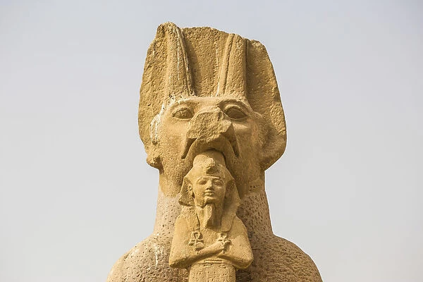 Egypt, Luxor, West Bank, Sphinx at the Temple of Ramessess 11 known as The Ramesseum