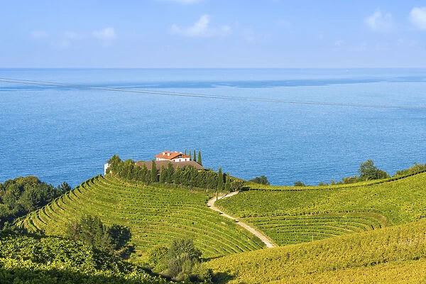 Eitzaga, Guipuzcoa, Basque Country, Spain. Hills of vineyards near the sea