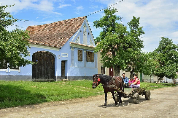 A horse and cart with a family in the Saxon village of Viscri, a Unesco World Heritage