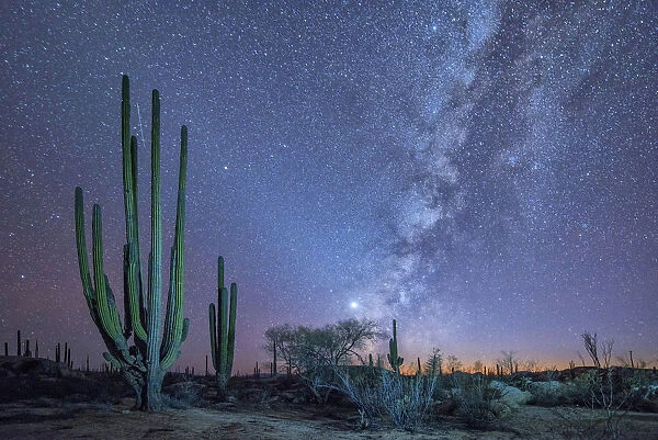 Mexico, Baja California, Catavinia stars