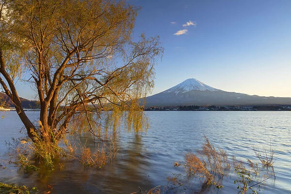 Mount Fuji and Lake Kawaguchi, Yamanashi Prefecture, Japan