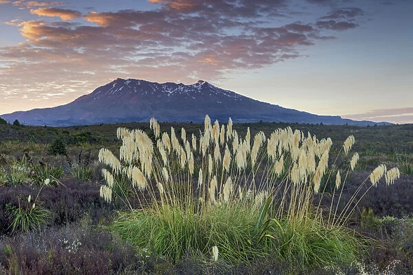 New Zealand, North Island, Tongariro National Park, Mount Ngauruhoe