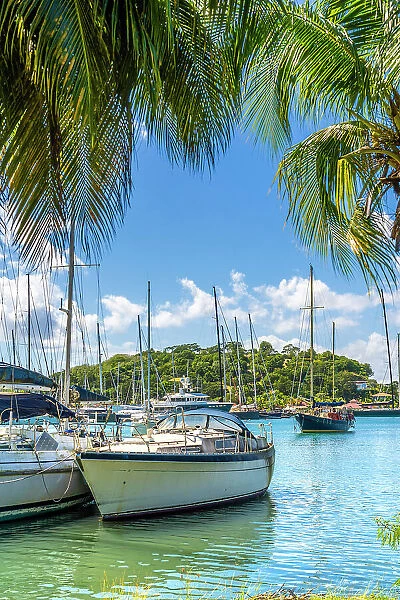 Port Louis Marina, St Georges, Grenada, Caribbean