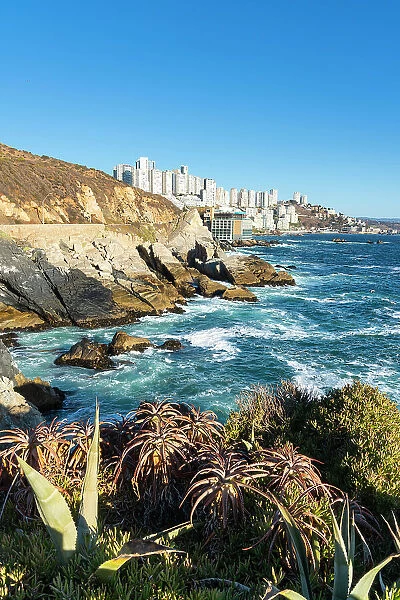 Rocky coastline by Roca Oceanica with distant view of residential high-rise buildings in Renaca, Concon, Valparaiso Province, Valparaiso Region, Chile