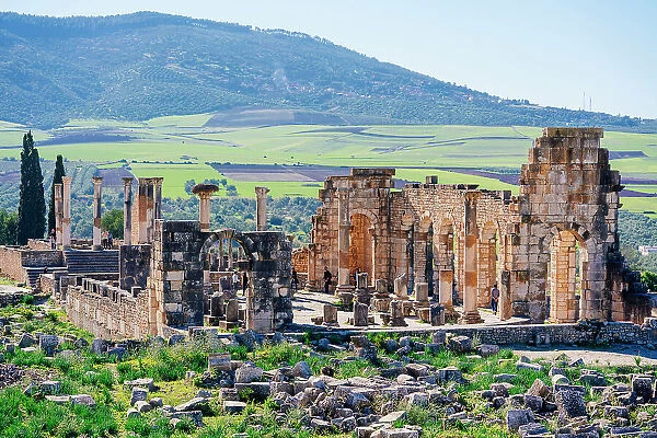 roman ruins of Volubilis, Meknes, Morocco, North Africa