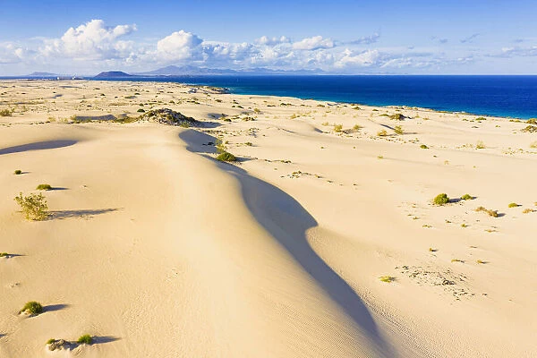 Sand dunes in the empty desert landscape, Corralejo Nature Park, Fuerteventura
