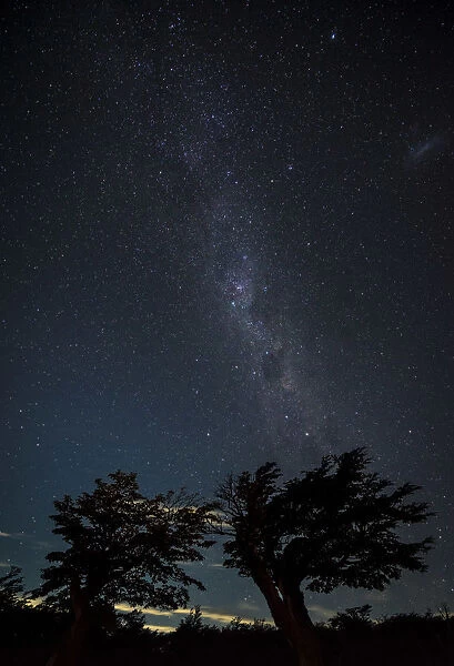 Silhouette trees at campsite against Milky way, Poincenot Campground, UNESCO, Los